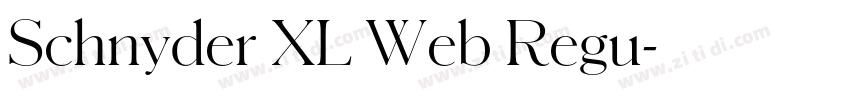 Schnyder XL Web Regu字体转换
